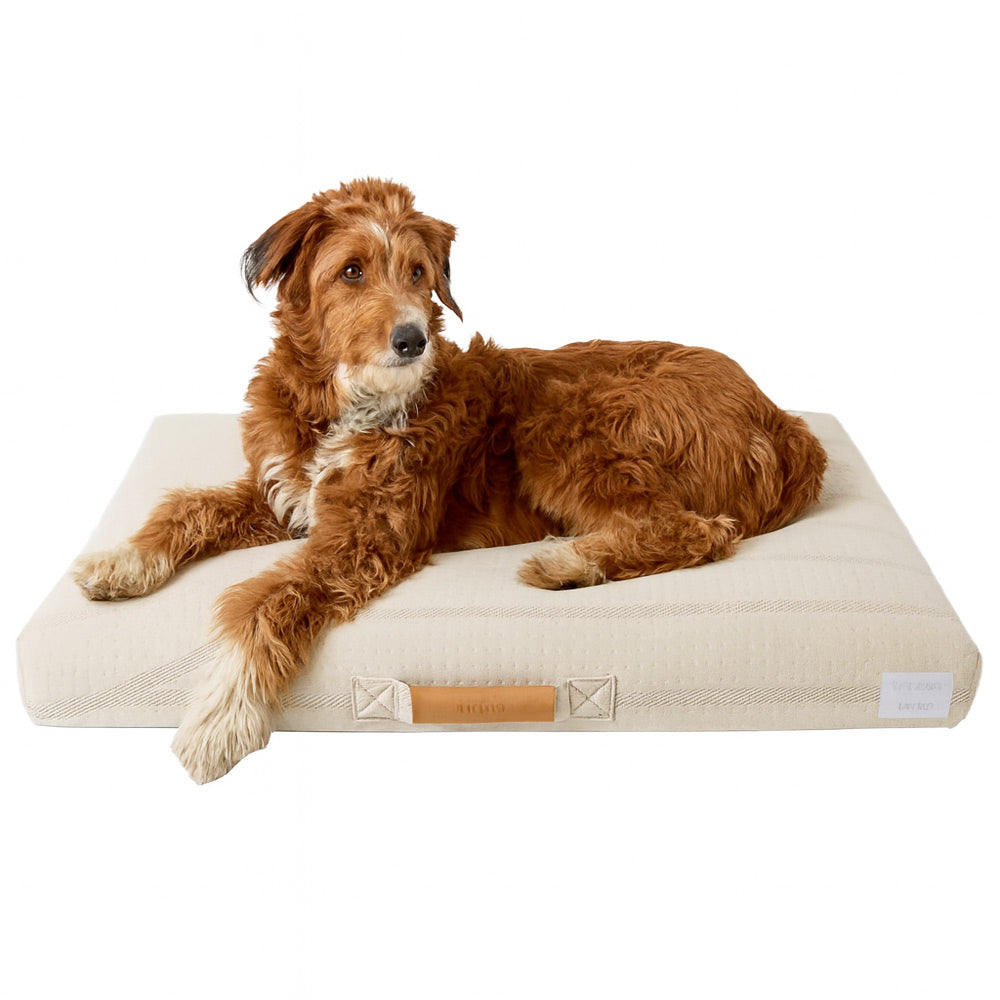 Brigette Romanek Designer | Designer Dog Bed With Removable Luxery Cover - Beige