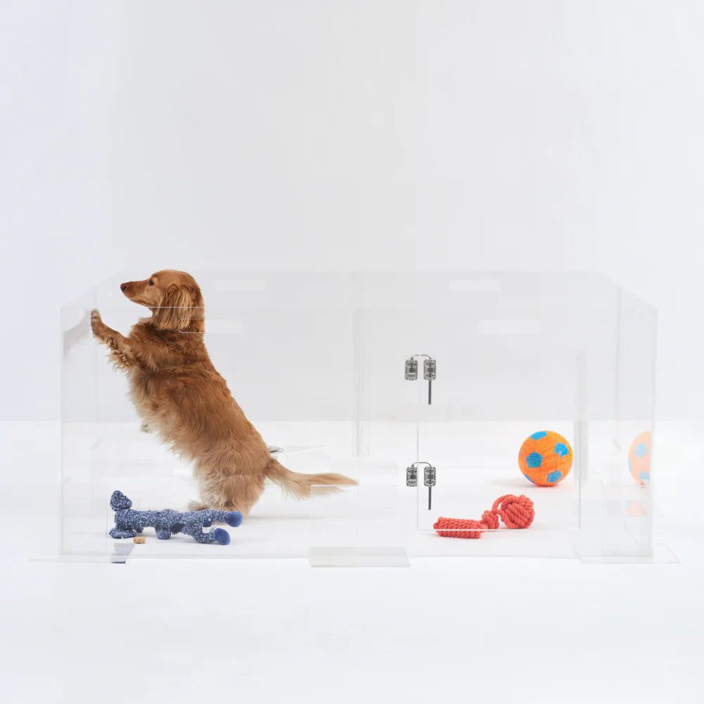 Clear Acrylic Playpen For Dogs & Puppies