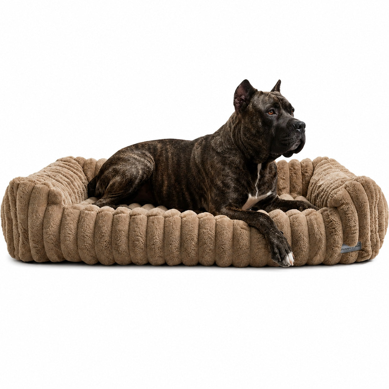 Luxury Big Dog XL Orthopedic Lounge Bed Up To 150 lbs | Corduroy Taupe