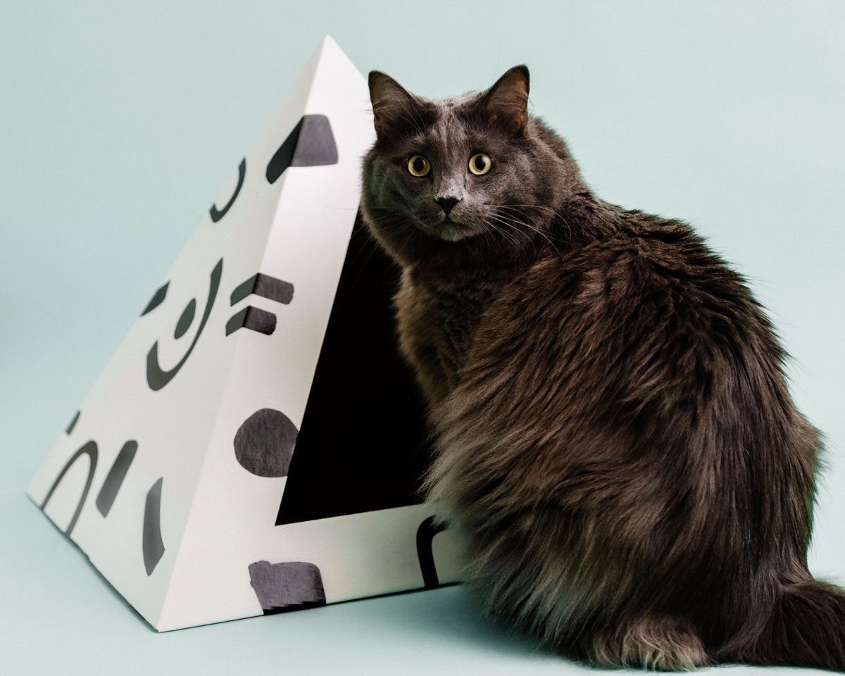 Cardboard Cat House | Doodles