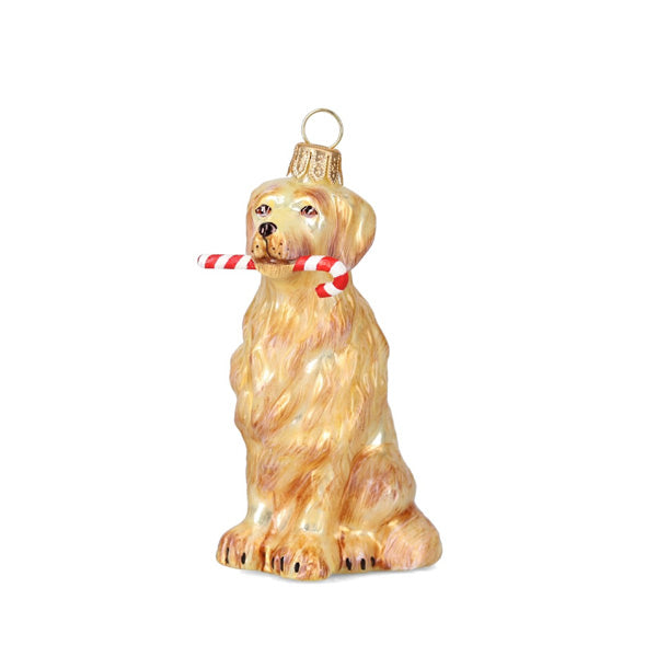 Golden Retriever Christmas Ornament with Candy Cane