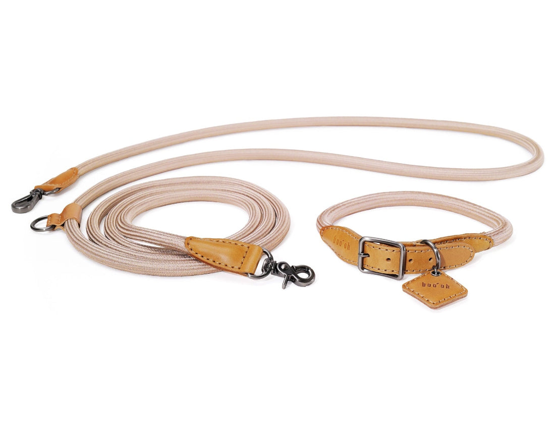 Hands-Free Ray Collar And Leash Set