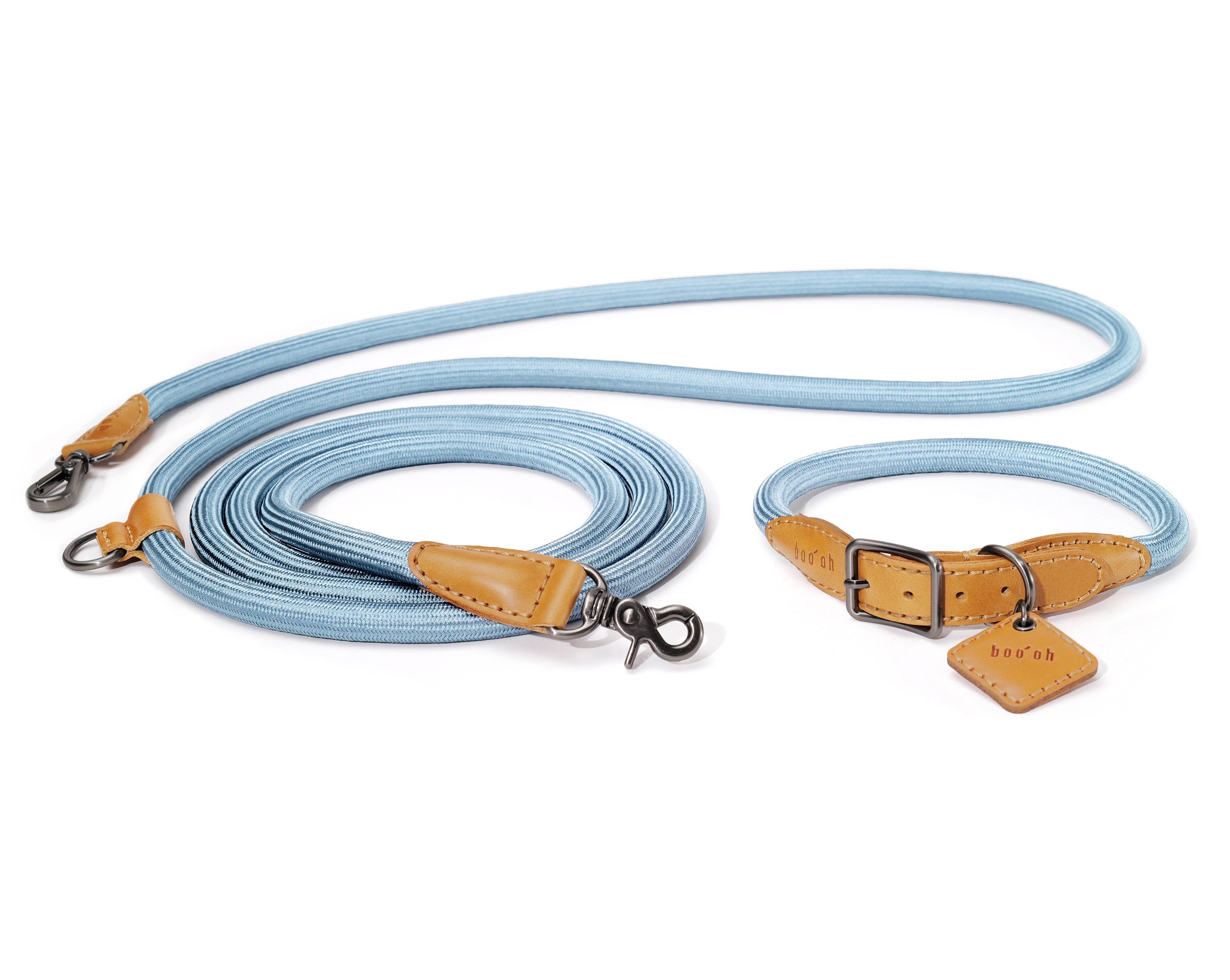 Hands-Free Ray Dog Collar + Leash Set