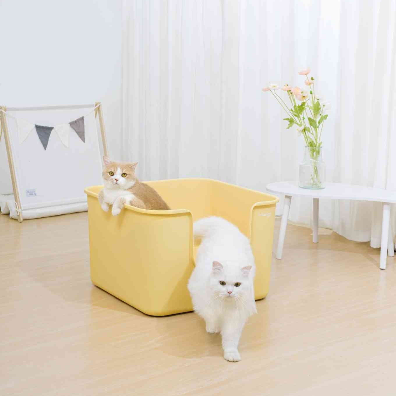 Mango Cube Litter Box XXL (Double Extra Large)