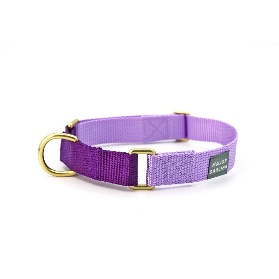 Martingale Dog Training Collar For Pulling | Lilac + Violet