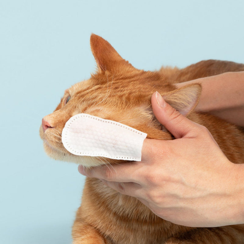 Eye Cleansing Finger Wipes for Cats & Dogs (50 Count)