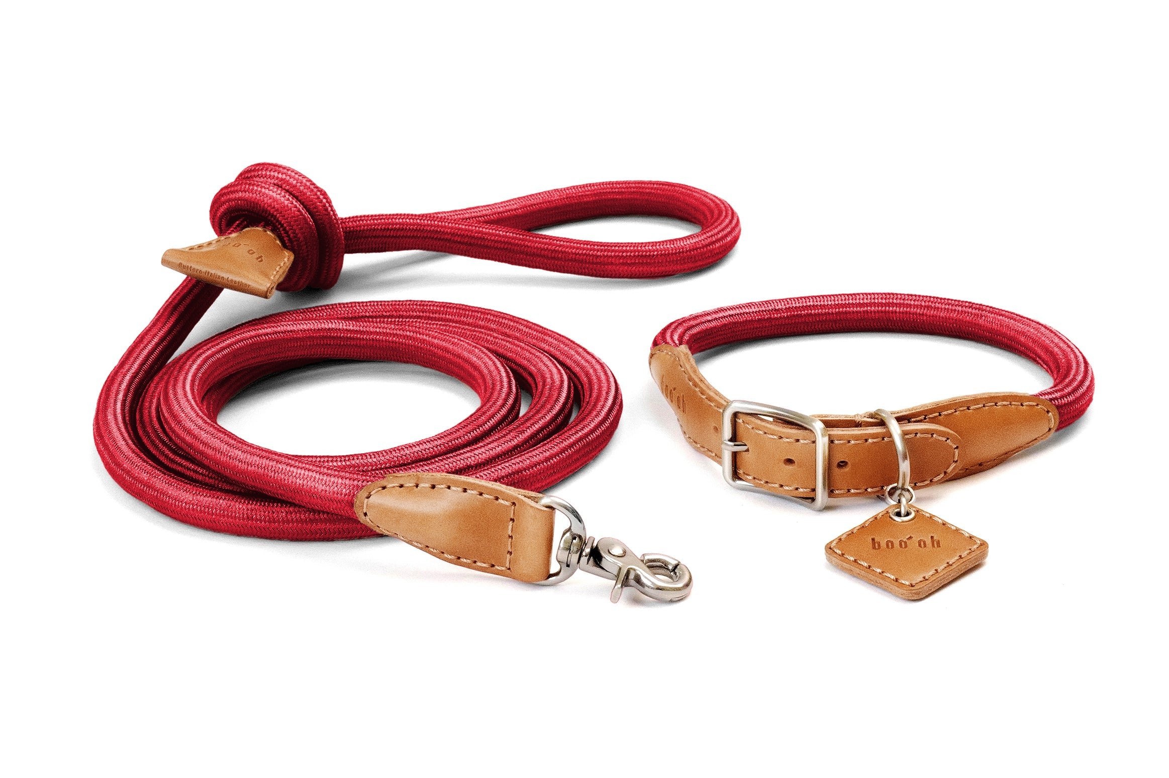 Ray Dog Collar And Leash Set