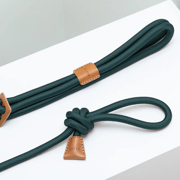 Ray All-In-One Rope Dog Harness & Leash – Handmade Silk Rope + Italian Leather