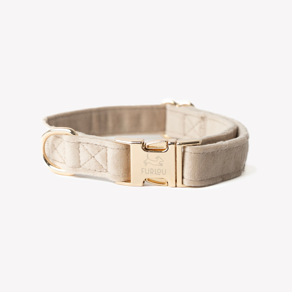 Luxury Velvet Dog Collar | Beige Color