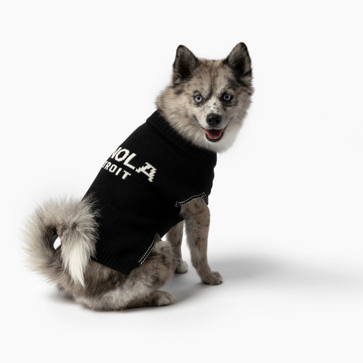 Shinola Brand Logo Knitted Dog Sweater
