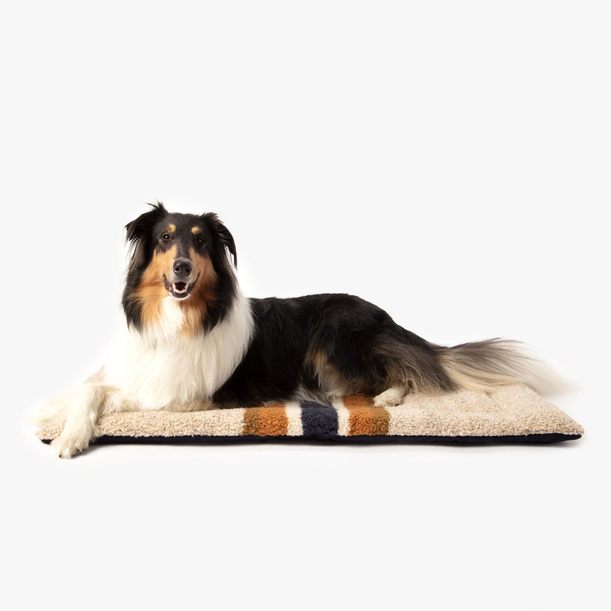 Shinola Brand Stripe Comfort Cushion Berber Dog Bed, Oatmeal Color, Luxury Crate Mat