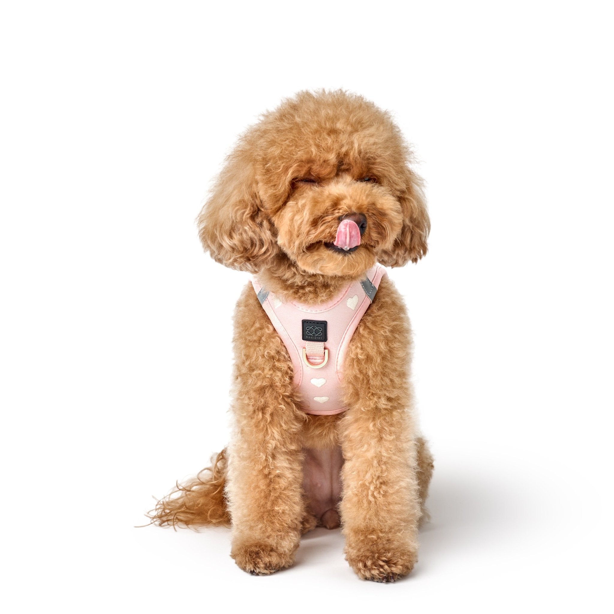 SoHo Small Dog Harness Sweetheart | No Pull Step-In Harness
