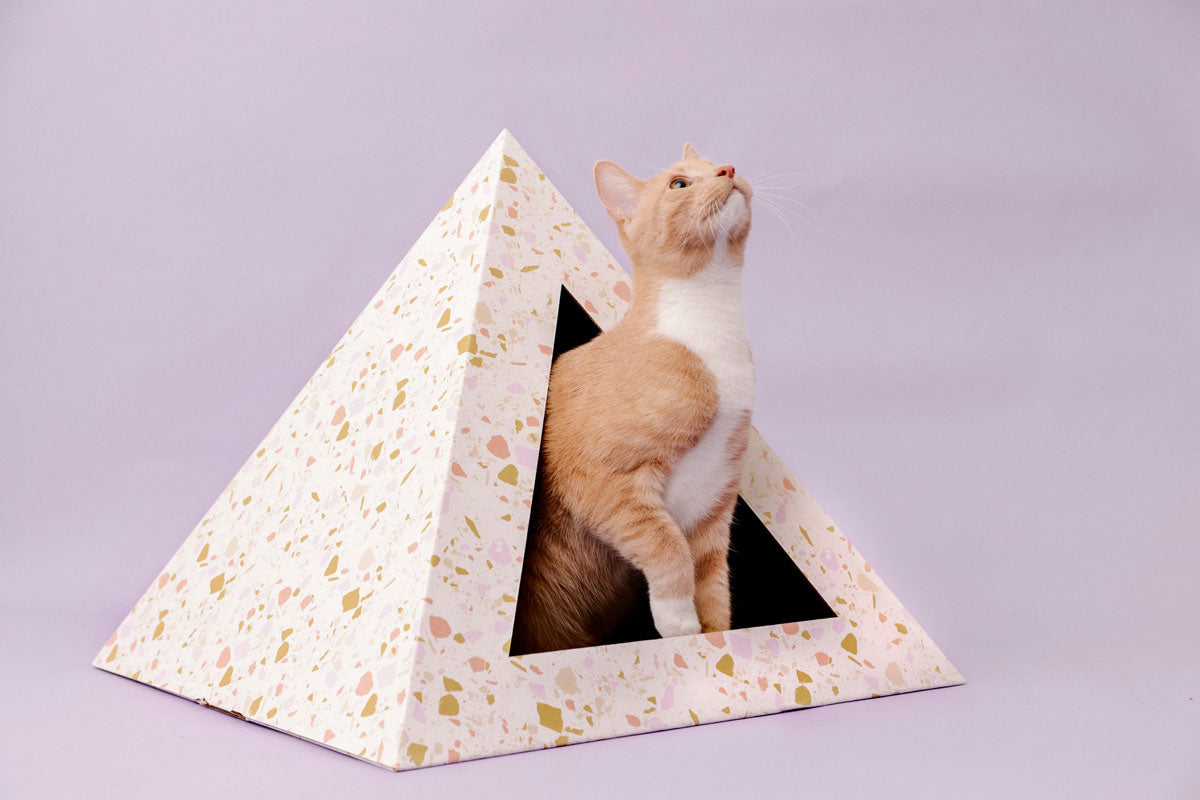 Cardboard Cat House | Terrazzo