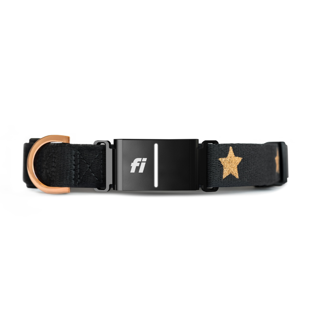 Fi Dog Collar | Rockstar