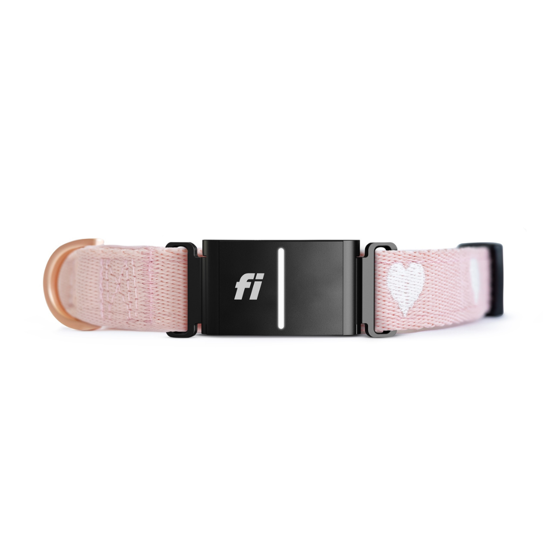 The DOGISTRY x Fi Sweetheart Collar
