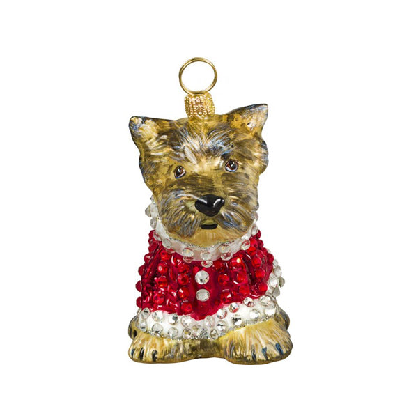 Yorkshire Terrier with Crystal Encrusted Coat